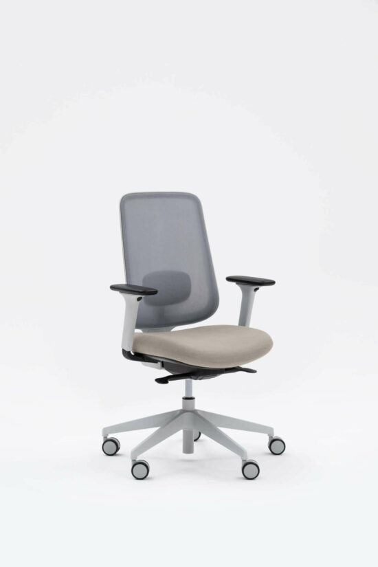 Task One – Grey Frame – With Arms – Cedar