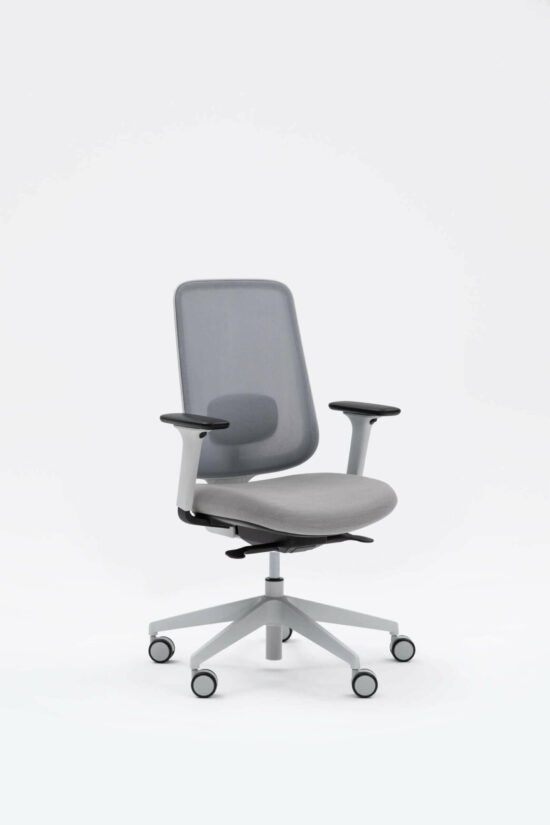 Task One – Grey Frame – With Arms – Fog