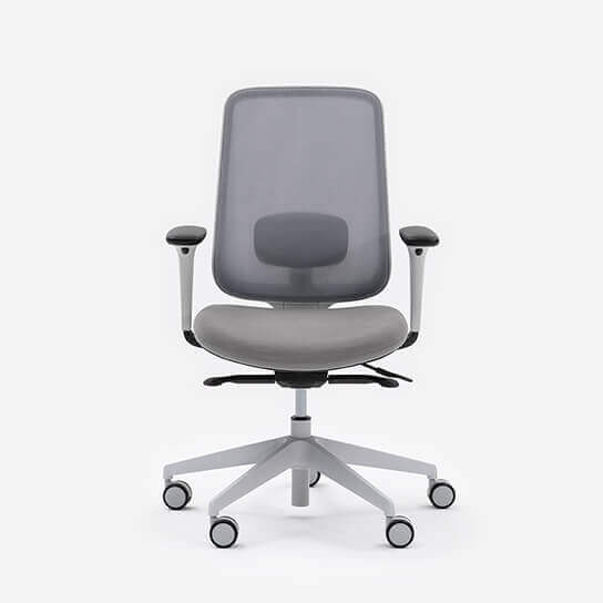 Task One Grey Frame Office Chair With Arms and Fog Seat