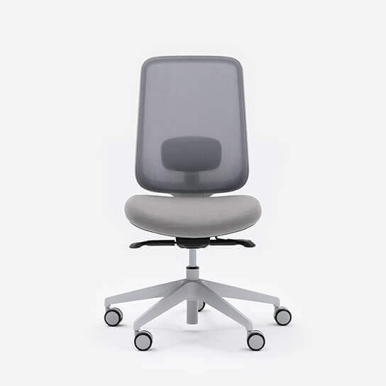 Task One Grey Frame Office Chair With No Arms and Fog Seat