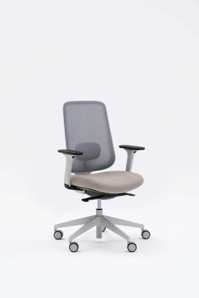 Task One – Grey Frame – With Arms – Cedar